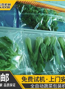 云森全自动生鲜蔬菜瓜果打包机食品商超小型三伺服枕式切封包装机