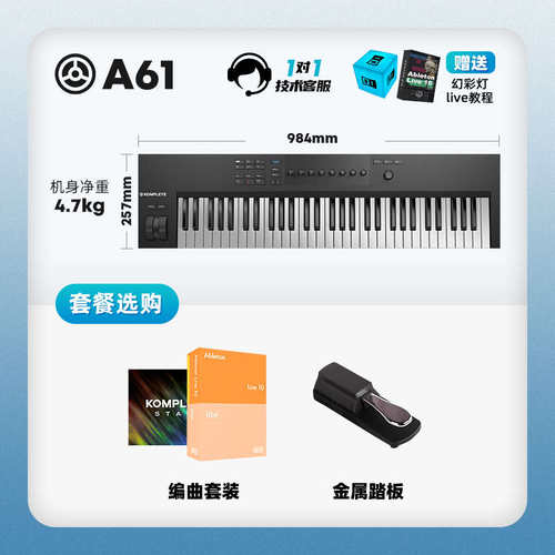 NI KOMPLETE A25/A49/A61半配重MIDI编曲电子乐制作键盘控制器 - 图0