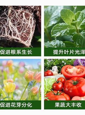 羊粪种菜种花发酵有机肥腐熟羊粪肥有机肥料蔬菜专用羊粪无异味