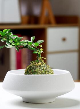 苔藓球专用盆花盆陶瓷托盘文竹无孔创意家用中式禅意盆景插花器