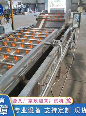 厂家供应蔬菜清洗机菠菜清洗机果蔬清洗设备韭菜气泡清洗机