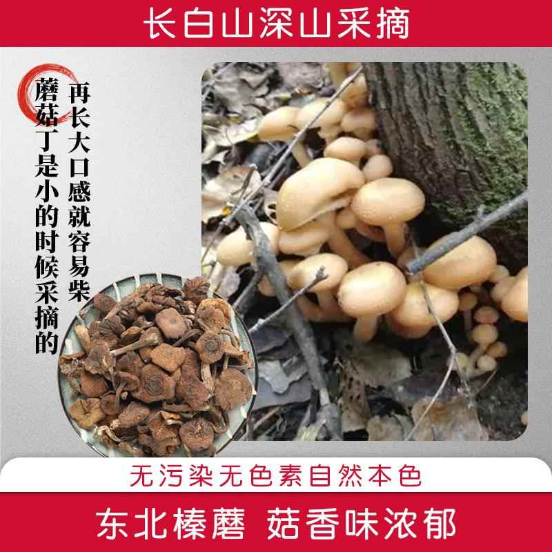 东北特产野生榛蘑丁干货500g小鸡炖蘑菇长白山臻蘑非特级新货无根