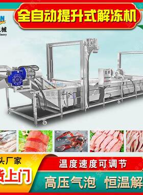 源头工厂冻盘冻肉气泡解冻线商用猪排骨解冻机提升式羊肉解冻机