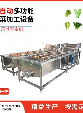 全自动净菜净果加工设备中大型气泡式洗果洗菜机辣木叶清洗机