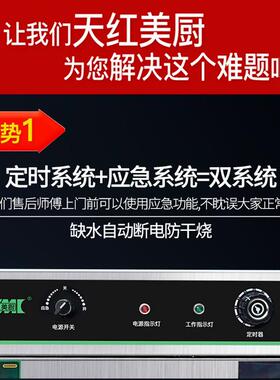 天红美厨蒸饭柜商用大小型电蒸箱燃气蒸饭车米饭馒头蒸饭箱蒸饭机