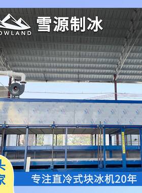 雪源1吨小型直冷式块冰机，吨冰55度电+智能操控，高效制冰低成本