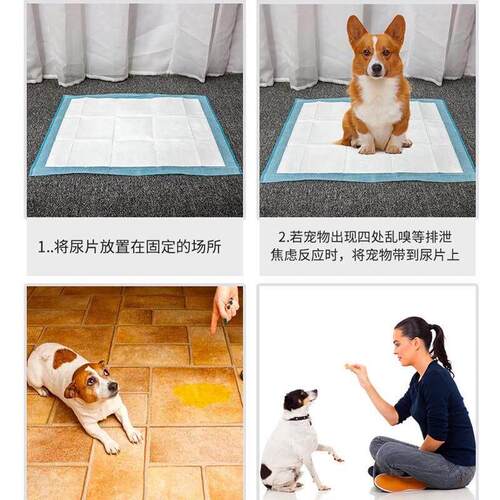 Puppy Pet Pads Dog wee Pee Pad training pad thick waterproof - 图0