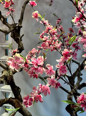 仿真桃花树假桃树型假树网红树造景仿真梅花树新年许愿树花树装饰