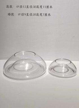 现代简约透明双用玻璃花盆摆件家居样板房餐厅桌面果盘装饰摆件