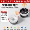 Embedded human body sensor downlight Zhongshan infrared entrance corridor home living room corridor aisle sensor spotlight