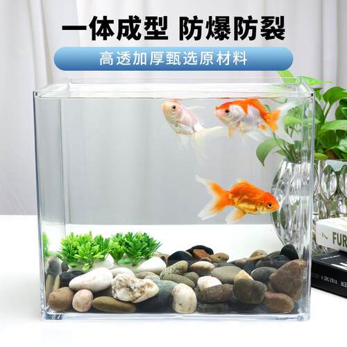 塑料鱼缸透明防摔超白客厅方缸小型家用雨林仿玻璃亚克力无缝裸缸 - 图1