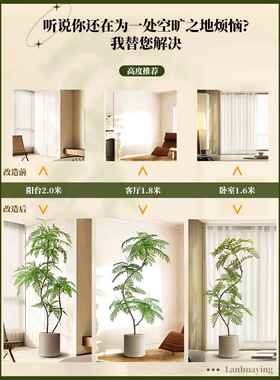 模拟绿色植物蓝花楹室内盆栽大型彷生植物假树可达豪华客厅装饰地