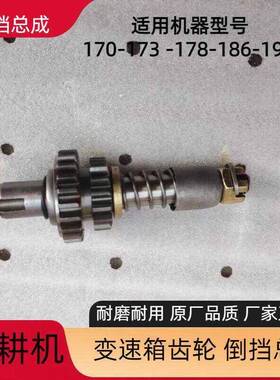 风冷柴油微耕机/变速箱里面的倒档轴总成双联齿轮配件173F178F186