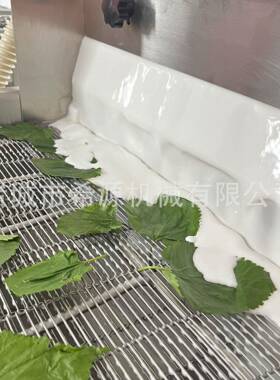 全自动鸡柳淋浆机 奶香面包片淋浆油炸线 三明治面包片淋浆设备