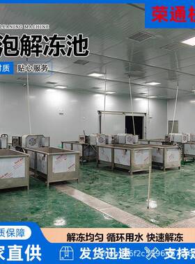 商用大块肉清洗解冻机毛肚气泡快速解冻池全自动鸡产品解冻设备