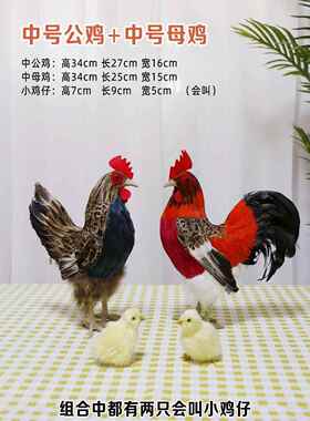 新款仿招真公打摄鸡摆件会叫鸣大公鸡玩具家禽动物模型影道具财装