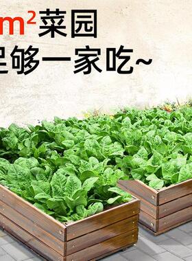 2024新款户外优质碳晒化防木腐休闲种菜防PZC盆可用于阳台庭院直