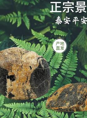 室外庭院保真泰山石景观石天然平底观光石不切割无底座化妆室补角
