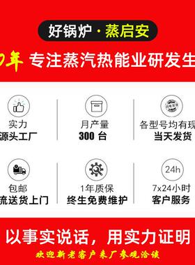 工业熨烫设备全自动电加热蒸汽机发生器服装烘干洗涤店用电锅炉