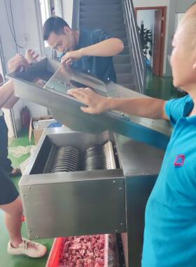 鲜排骨切块机切割尺寸2厘米到4厘米带骨鸡鸭切条切块机设备