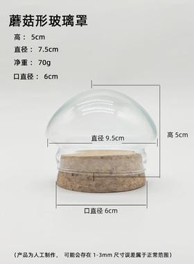 diy玻璃罩软木塞纪念品装饰摆件