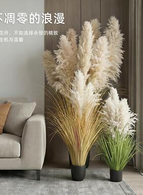 彷真绿色植物高级感天然芦苇假花狗尾草室内阳台彷生植物盆栽装饰