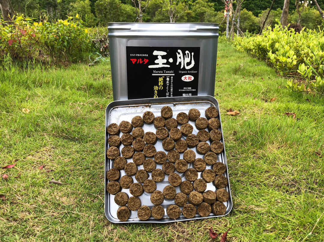 玉肥料 新人首单立减十元 22年8月 淘宝海外