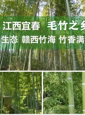 手工竹篮子竹编家用竹筐手提收纳买菜篮水果篮鸡蛋篮竹制