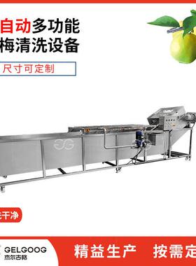 全自动洗瓜果设备 酸梅梅子气泡清洗机械 鲜果清洗机 青梅洗果机
