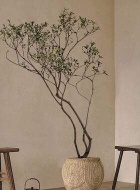 仿真绿植室内落地盆栽假树植物黄槐花中古风装饰高端轻奢盆景摆件