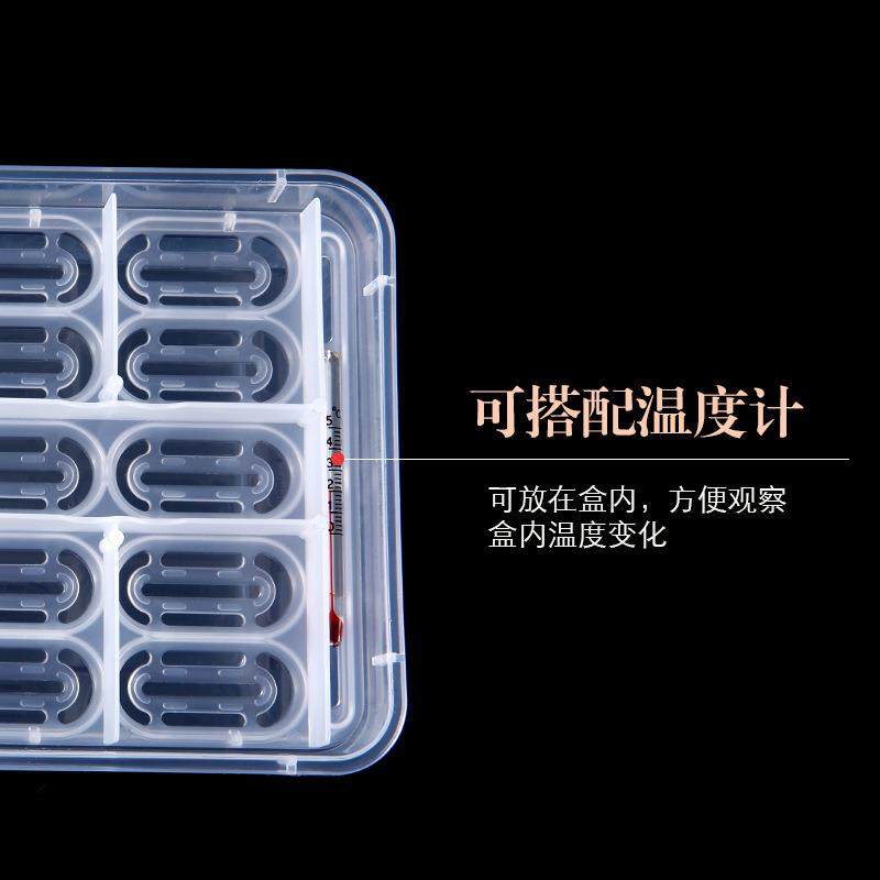 爬宠守宫蛋孵化包邮宠物蛇垫材蛇蛋蜥蜴孵化盒保湿透气乌龟孵化箱,淘宝优惠券,粉丝福利购,淘宝优惠卷