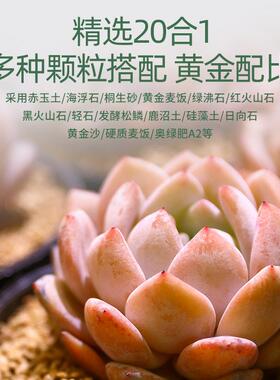 多肉颗粒土营养土种植土铺面石纯颗粒老桩透气多肉专用土盆栽小苗