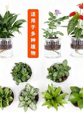 养禄根花盆专用种生姜的盆大口径水培器皿无孔植物盆器容器花瓶小
