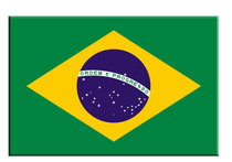 Frame-free painting Decorative Painting Hanging painting Calligraphy And Painting Board Meeting Room Martial Arts gymnasium Competition World Flag State Flag Brazil