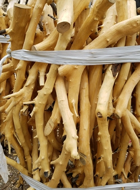 艺术风枯木去皮本色衣架干树枝