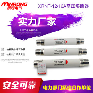 民熔XRNT-12/6.3-40-10-16-20-25A高压限流熔断器XRNT1-10KV