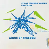 基拉大和 新人首单立减十元 21年8月 淘宝海外