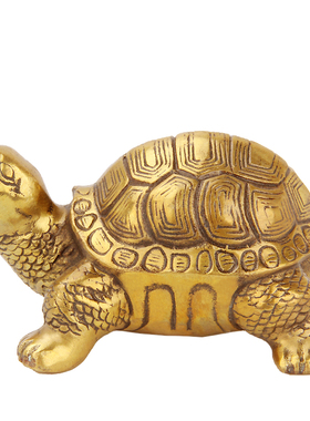 铜乌龟巴西龟三代龙头龟