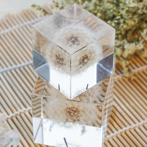 日本进口宙sola cube蒲公英标本创意桌面摆件高级感小众生日礼物 - 图0