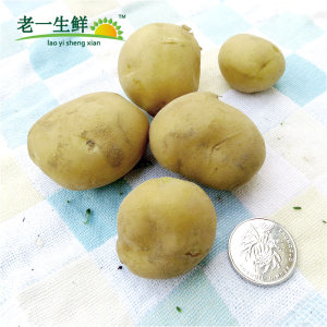 【老一生鲜】 新鲜迷你小土豆 500g