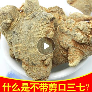 贡府堂文山30头三七云南春三七头500g无剪口滑头田七头可打三七粉