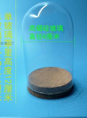 diy创意木塞防尘罩微景观永生花