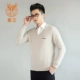 Lu Wangqiu mùa đông mới tinh khiết áo len cashmere nam V-cổ kinh doanh rắn màu dày đầu quần áo nam 110134376 - Áo len Cashmere