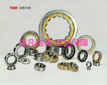 Sky Horse RN307 EM cylindrical roller bearing 502307H eccentric bearing