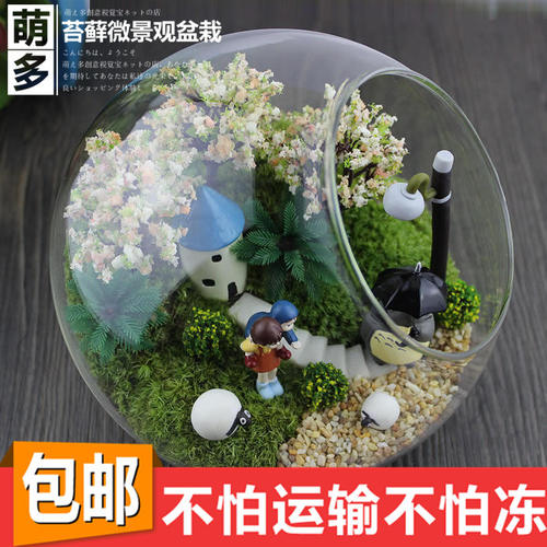 包邮纯苔藓微景观生态瓶创意diy组合盆栽新奇仿真植物礼物办公室 - 图0