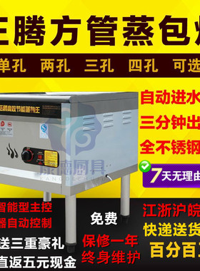 正腾燃气电热单孔四孔肠粉蒸炉