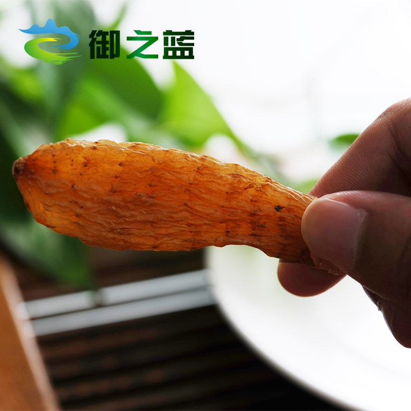 御之蓝长白山原产冬麻林下小送天麻 御之蓝天麻