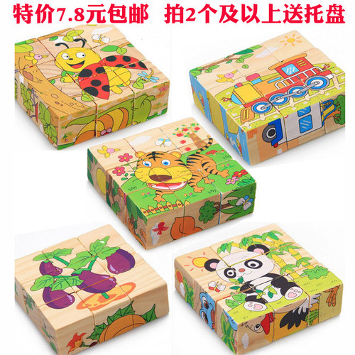 木质六面画9粒拼图儿童3D立体木制宝宝幼儿积木3-6周岁男女孩玩具 - 图0