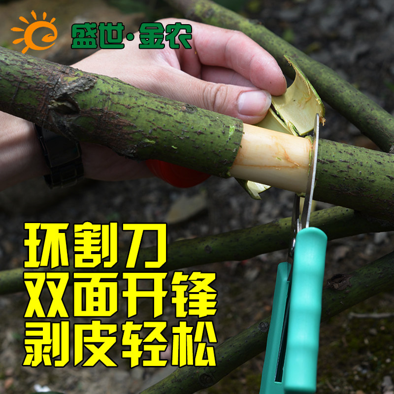 环割剪刀环切刀环形剪葡萄环剥剪环枝剪环割刀果树环剥刀园艺剪刀,淘宝优惠券,粉丝福利购,淘宝优惠卷