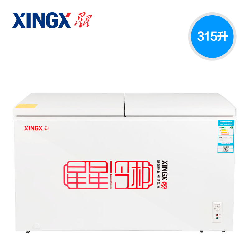 XINGX/星星 BCD-315JE大冰柜商用 卧式 冷柜 冷冻冷藏 双温节能 - 图0